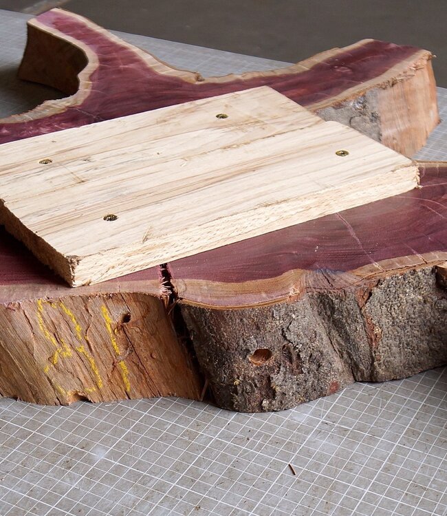 Amaranth Stern, ca. 900 x 780 x 70 mm, 41220