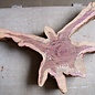 Purpleheart, star shaped slab, approx. 1040 x 720/540 x 110 mm, 41222