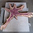 Purpleheart, star shaped slab, approx. 1190 x 620/800 x 100 mm, 41223
