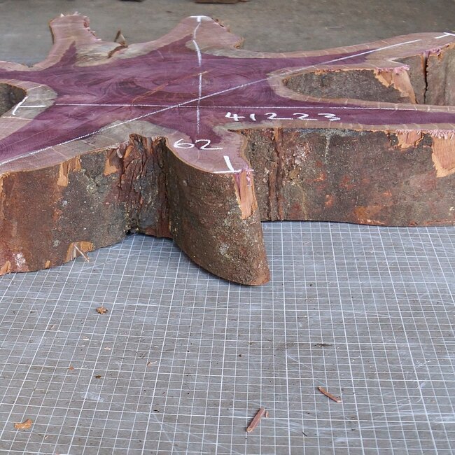 Amaranth Stern, ca. 1190 x 620/800 x 100 mm, 41223