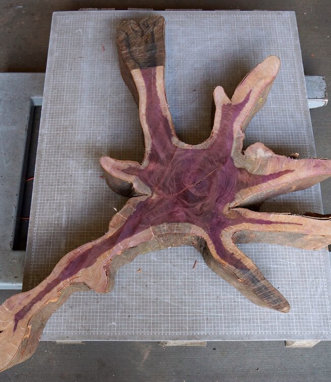 Amaranth Stern, ca. 1190 x 620/800 x 100 mm, 41223