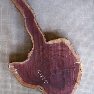 Amaranth Stern, ca. 990 x 570 x 90 mm, 41225