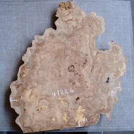 Kaukasische Rüster Maser, ca. 810 x 680 x 42 mm, 41226