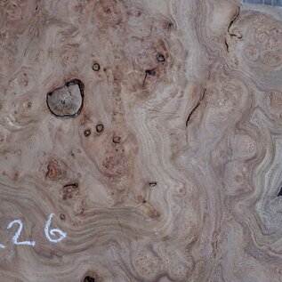 Kaukasische Rüster Maser, ca. 810 x 680 x 42 mm, 41226