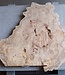 Caucasian Elm burl, approx. 890 x 830 x 46 mm, 41227