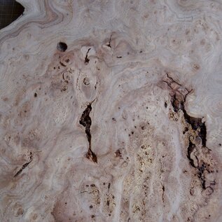 Caucasian Elm burl, approx. 890 x 830 x 46 mm, 41227