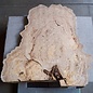 Asian Elm burl, approx. 1020/1010 x 650 x 60 mm, 41228