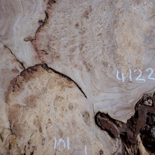Caucasian Elm burl, approx. 1020/1010 x 650 x 60 mm, 41228