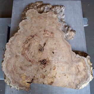 Caucasian Elm burl, approx. 970 x 940/510 x 62 mm, 41229