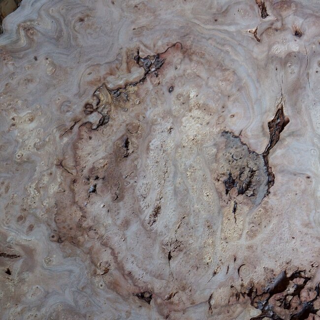 Caucasian Elm burl, approx. 970 x 940/510 x 62 mm, 41229