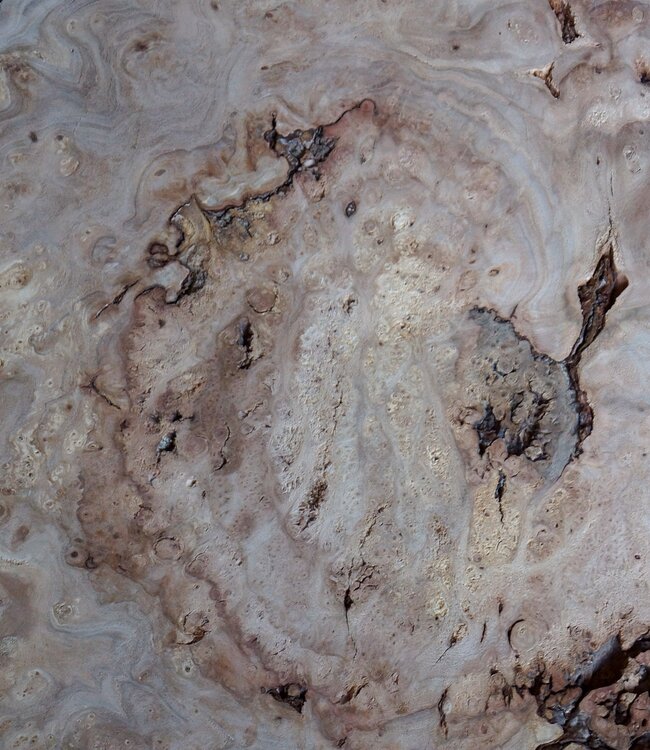 Caucasian Elm burl, approx. 970 x 940/510 x 62 mm, 41229