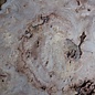 Caucasian Elm burl, approx. 970 x 940/510 x 62 mm, 41229