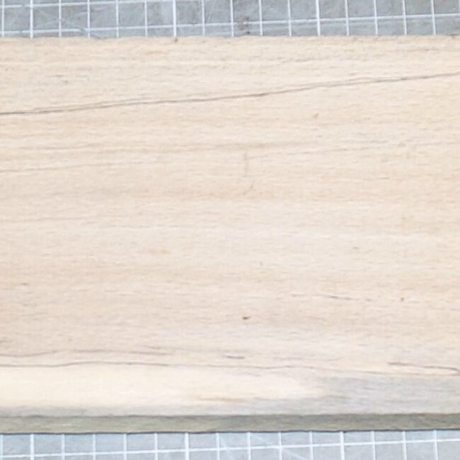 Buche gestockt, ca. 845 x 125 x 21mm, 1,6kg