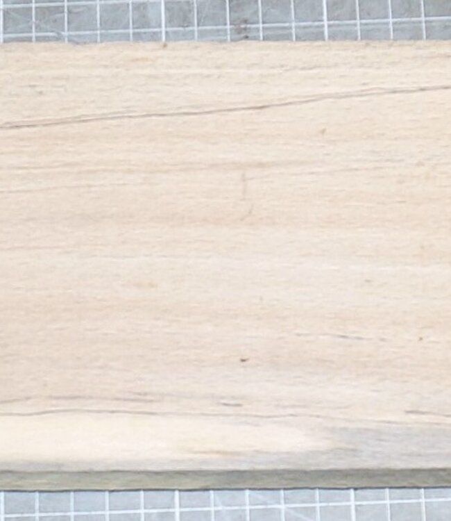 Buche gestockt, ca. 845 x 125 x 21mm, 1,6kg