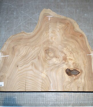 Caucasian Elm burl, approx. 490 x 430 x 69mm, 7,6kg