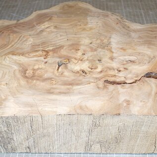 Caucasian Elm burl, approx. 490 x 430 x 69mm, 7,6kg