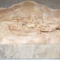 Caucasian Elm burl, approx. 490 x 430 x 69mm, 7,6kg