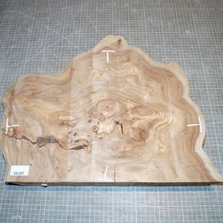 Caucasian Elm burl, approx. 430 x 330 x 69mm, 5,8kg