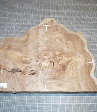 Caucasian Elm burl, approx. 430 x 330 x 69mm, 5,8kg