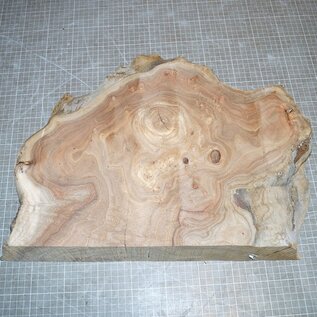 Caucasian Elm burl, approx. 430 x 330 x 69mm, 5,8kg