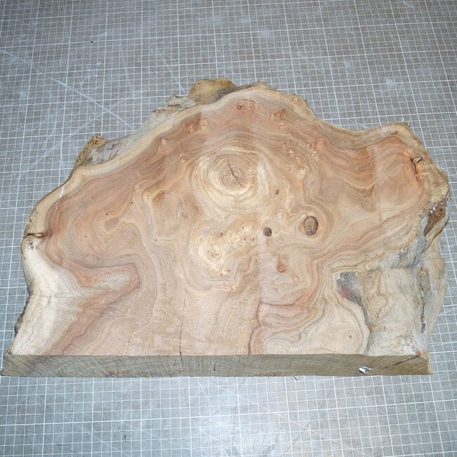 Caucasian Elm burl, approx. 430 x 330 x 69mm, 5,8kg