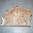 Caucasian Elm burl, approx. 430 x 330 x 69mm, 5,8kg