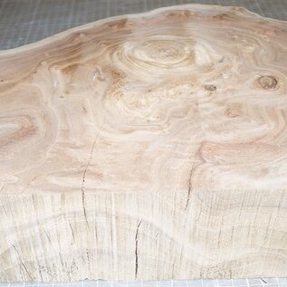Caucasian Elm burl, approx. 430 x 330 x 69mm, 5,8kg