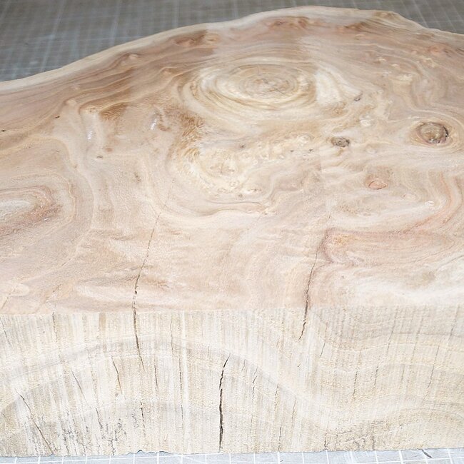 Caucasian Elm burl, approx. 430 x 330 x 69mm, 5,8kg