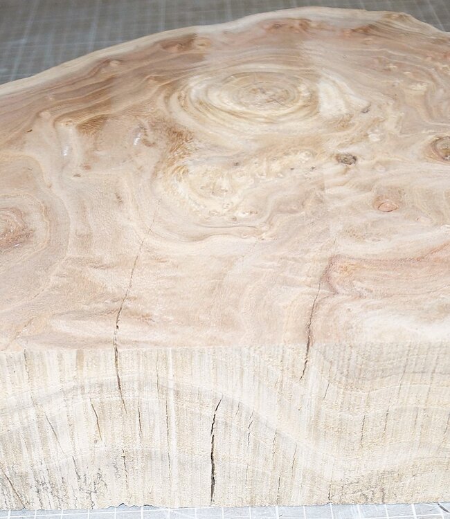Caucasian Elm burl, approx. 430 x 330 x 69mm, 5,8kg