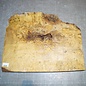 Artocarpus burl, approx. 490 x 400/300 x 32-44mm, 5,4kg