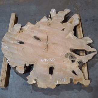 Olive slab, approx. 1190 x 1080 x 70 mm, 41230