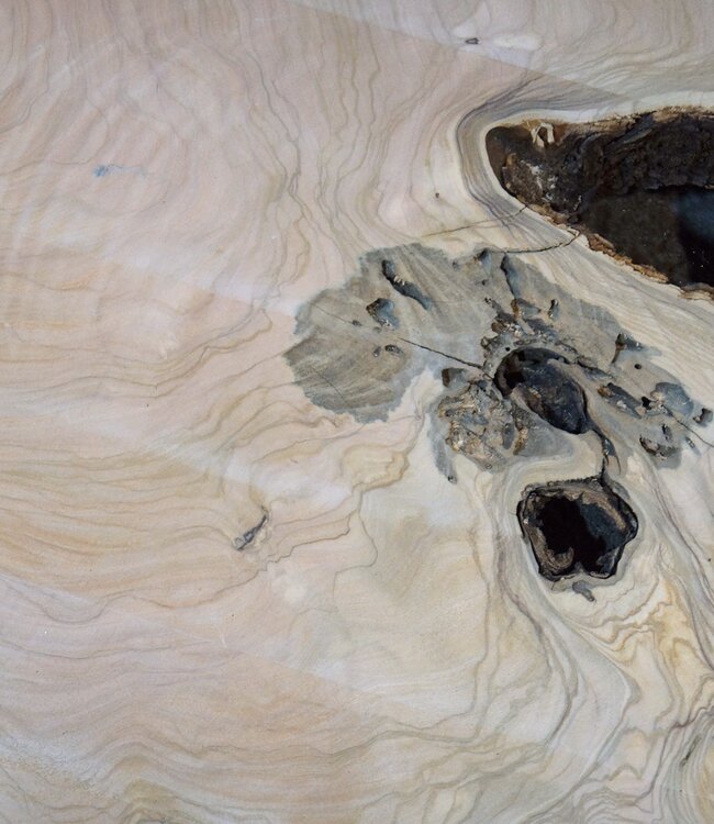 Olive Baumscheibe, ca. 1190 x 1080 x 70 mm, 41230