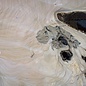 Olive slab, approx. 1190 x 1080 x 70 mm, 41230