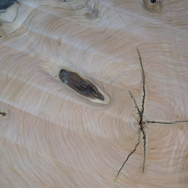 Olive slab, approx. 1190 x 1080 x 70 mm, 41230