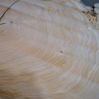 Olive slab, approx. 1190 x 1080 x 70 mm, 41230