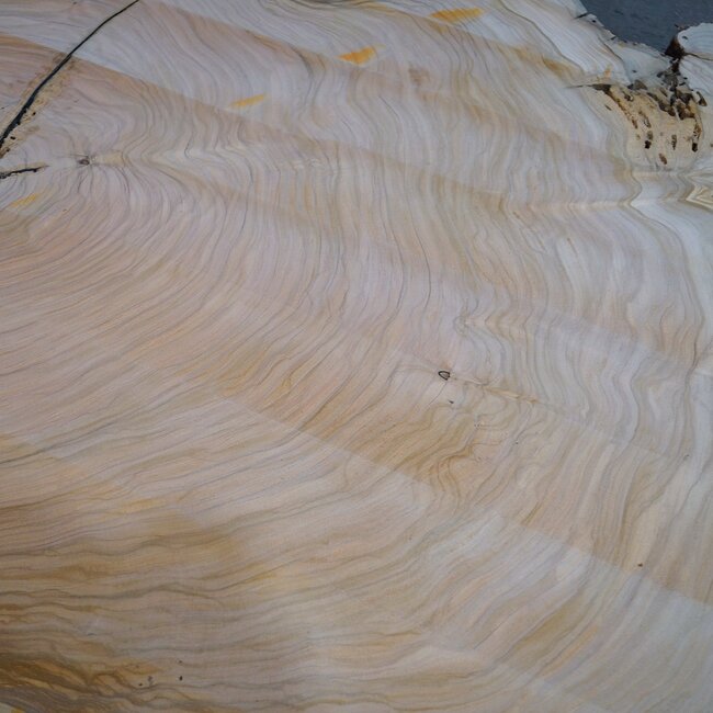 Olive Baumscheibe, ca. 1190 x 1080 x 70 mm, 41230