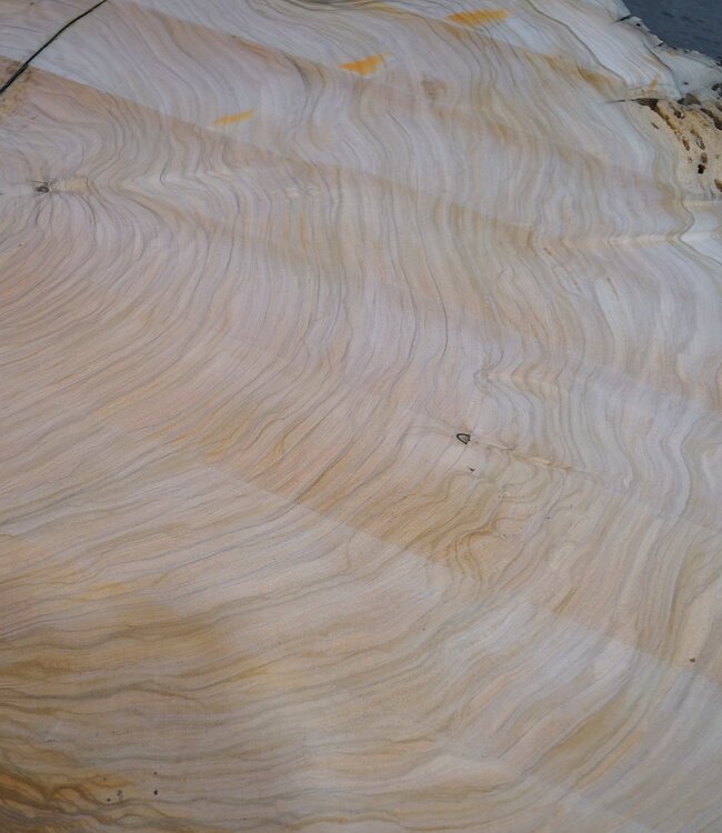 Olive Baumscheibe, ca. 1190 x 1080 x 70 mm, 41230