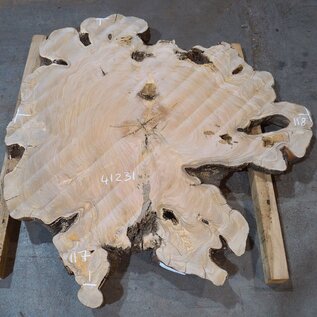 Olive slab, approx. 1180 x 1170 x 70 mm, 41231