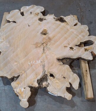 Olive slab, approx. 1180 x 1170 x 70 mm, 41231