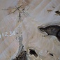Olive Baumscheibe, ca. 1180 x 1170 x 70 mm, 41231