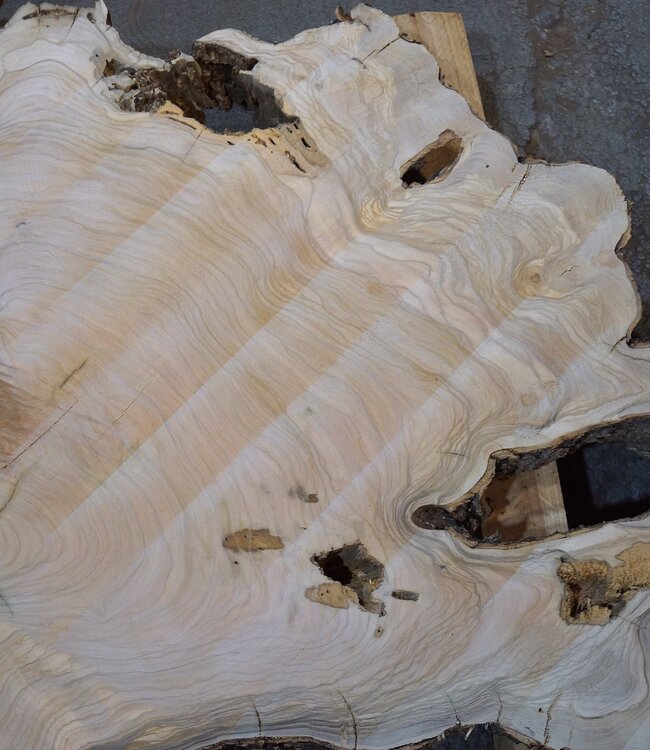 Olive slab, approx. 1180 x 1170 x 70 mm, 41231