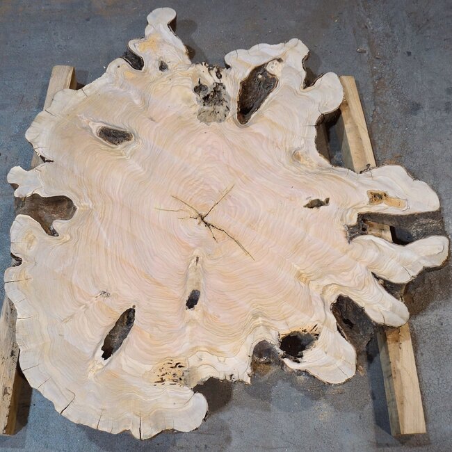 Olive slab, approx. 1180 x 1170 x 70 mm, 41231