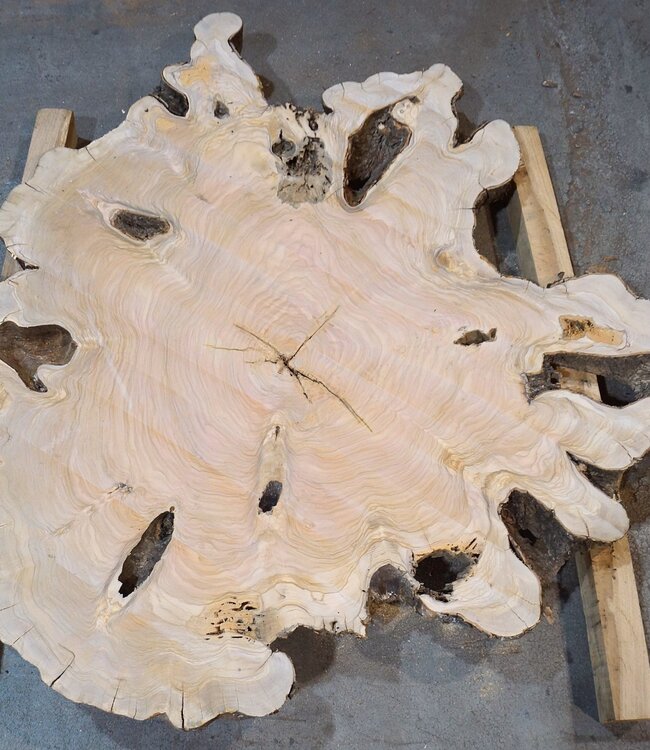 Olive slab, approx. 1180 x 1170 x 70 mm, 41231