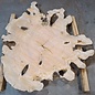 Olive slab, approx. 1180 x 1170 x 70 mm, 41231