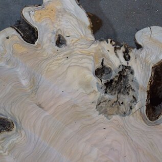 Olive slab, approx. 1180 x 1170 x 70 mm, 41231