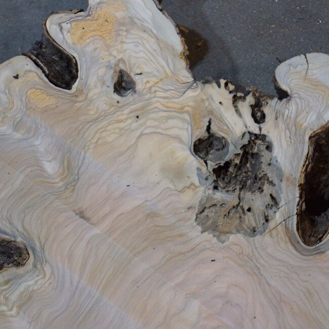 Olive slab, approx. 1180 x 1170 x 70 mm, 41231