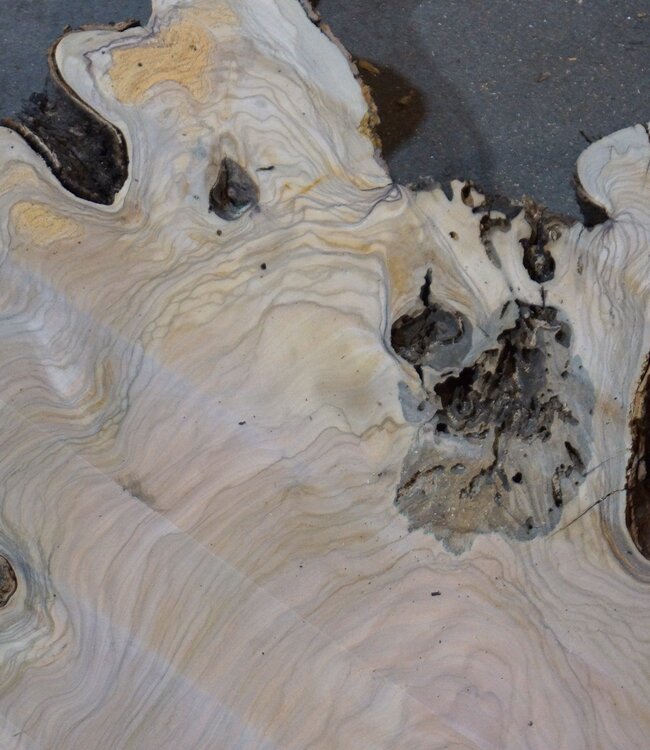 Olive slab, approx. 1180 x 1170 x 70 mm, 41231