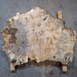 Caucasian walnut burl, approx. 1200 x 990 x 55 mm, 41232