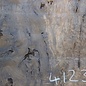 Caucasian walnut burl, approx. 1200 x 990 x 55 mm, 41232