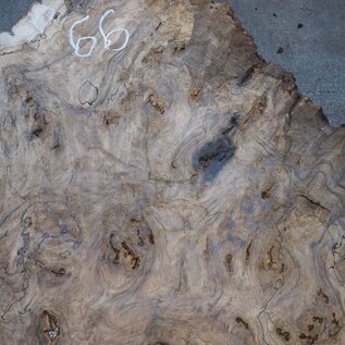 Caucasian walnut burl, approx. 1200 x 990 x 55 mm, 41232